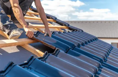 Couverture - Porcelette